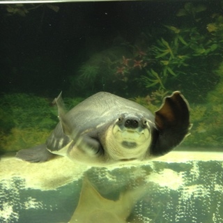 皆様ご応募ありがとうございました