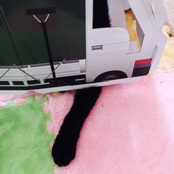 毎日が盛りだくさん！
