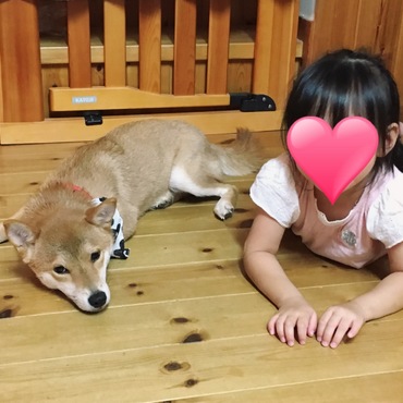 の写真