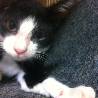 ありがとうございました！