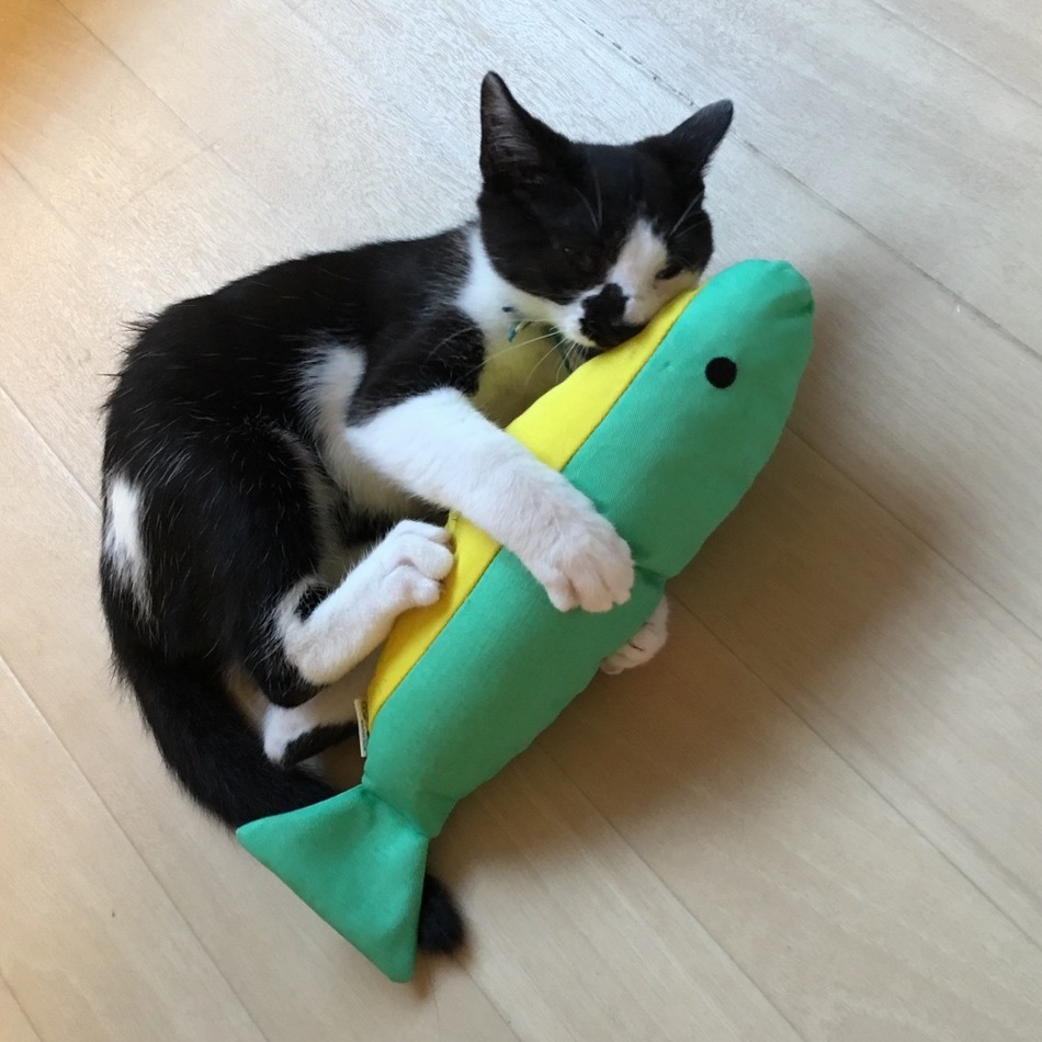 あずきのカバー写真