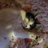 もこちゃん♡