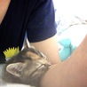 の写真