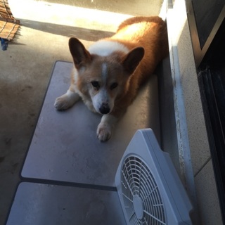 もらってほしいです