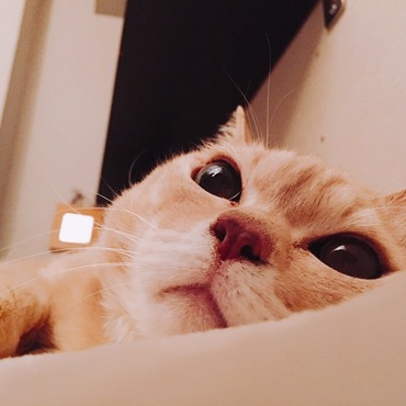の写真