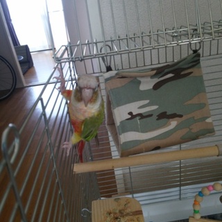 ご応募下さった皆様ありがとうございました。