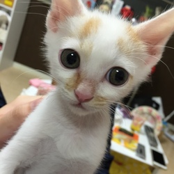 大切なエレン 2ヶ月間ありがとう