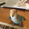 飛ぶぞ飛ぶぞ〜