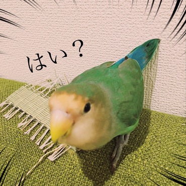 文句あんの？っていう目で見てくることがよくあります。