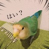 文句あんの？っていう目で見てくることがよくあります。