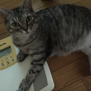 里親募集！