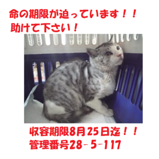 8/25引出し♡新しい飼い主さんにお届け☆2匹で！