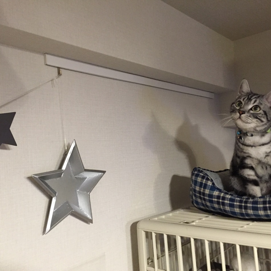 ネルのカバー写真