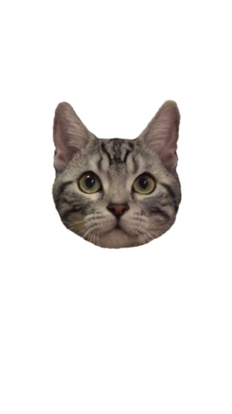 ネル