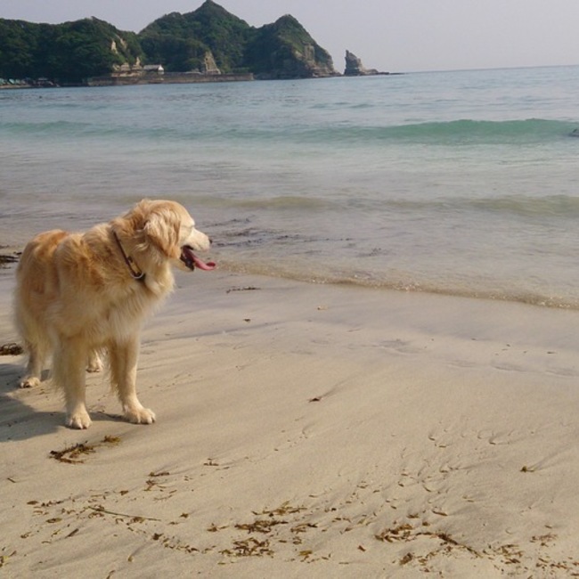 ラルフのカバー写真