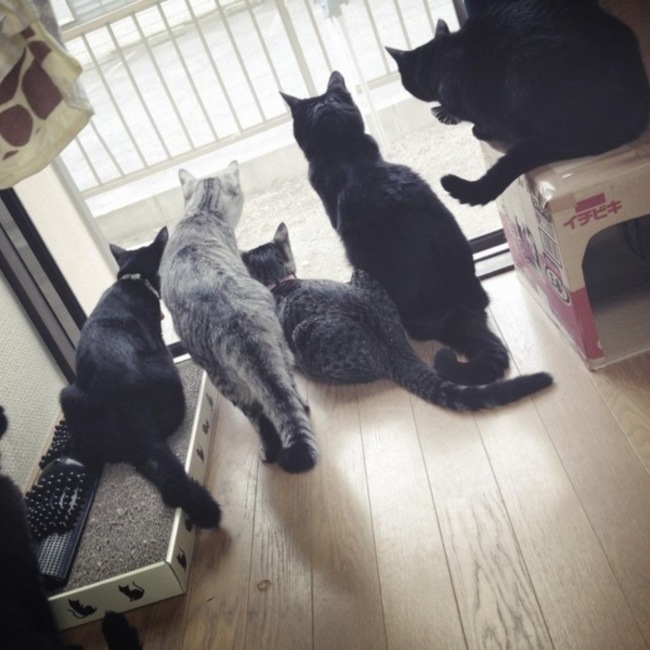 めぐ0103のカバー写真