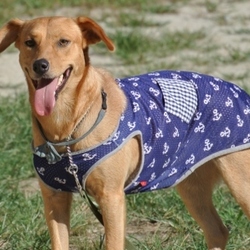 8月21日のアスカさん