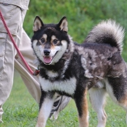 8月19日のラキ君