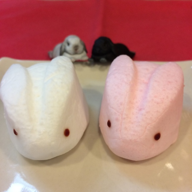 ぷれ吉のカバー写真