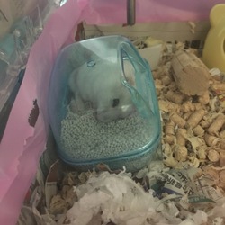 育児のストレス解消は