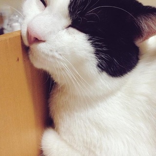 誰か可愛がっていただけませんか⁇