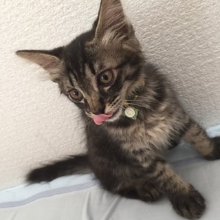 甘えん坊の女の子☆すず☆一時中止