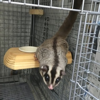 ご応募ありがとうございました。