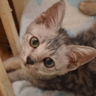 そんなに見つめないで♪　キクちゃん