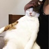 の写真