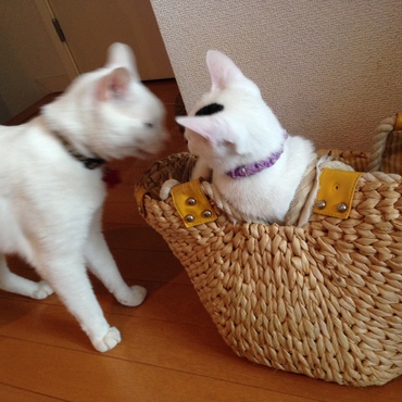 バァ〜