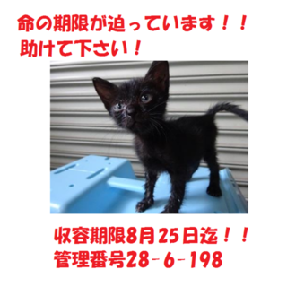 お迎えありがとうございました☆☆☆