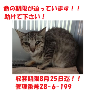 8/25引出し♡新しい飼い主さんにお届け☆2匹で！