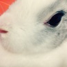 ohkura