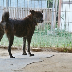 今日のラピス＆パール