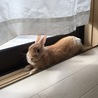 の写真