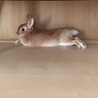 の写真