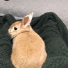 の写真