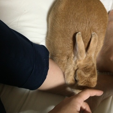 の写真
