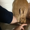 の写真