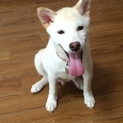 自宅で引き続き飼育して行く事にしました。