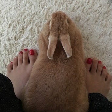 くっつき虫♡