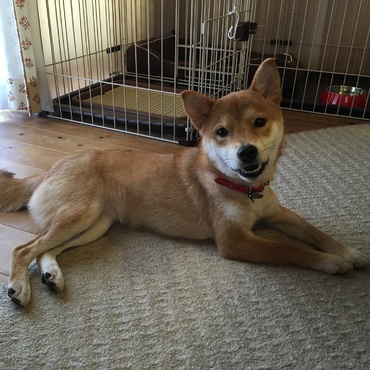 の写真