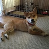 の写真