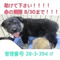 家族が出来ました！