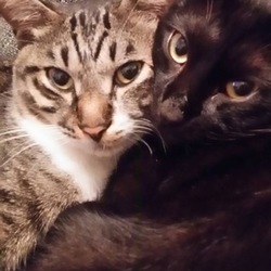 ご無沙汰しています