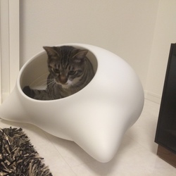 「ご無沙汰しています」サムネイル3