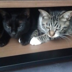 「ご無沙汰しています」サムネイル2