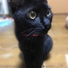 の写真