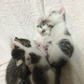 無事決まりました!!