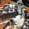 無事決まりました!! サムネイル2